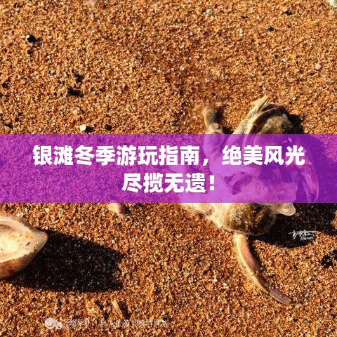 银滩冬季游玩指南，绝美风光尽揽无遗！