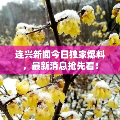 连兴新闻今日独家爆料，最新消息抢先看！