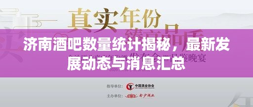 济南酒吧数量统计揭秘，最新发展动态与消息汇总