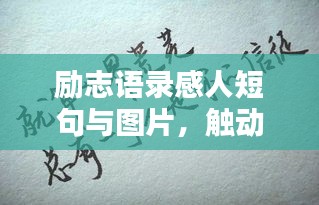 励志语录感人短句与图片，触动心灵，瞬间激发无尽力量