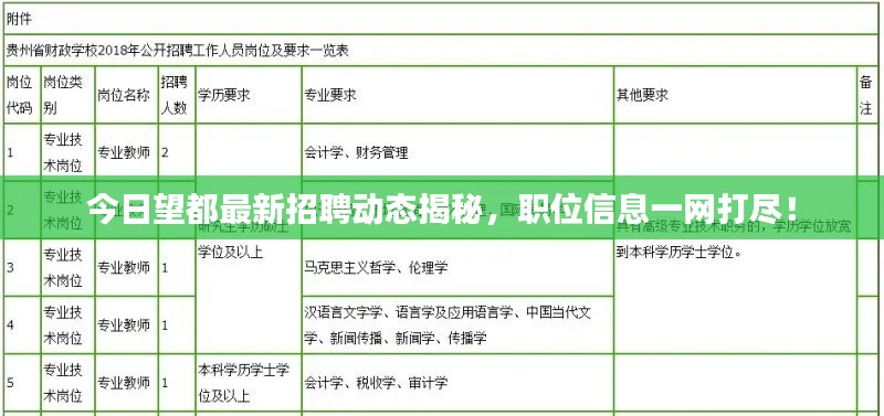 今日望都最新招聘动态揭秘，职位信息一网打尽！