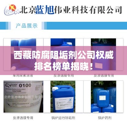 西藏防腐阻垢剂公司权威排名榜单揭晓！