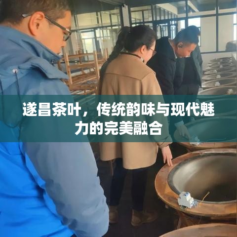 遂昌茶叶，传统韵味与现代魅力的完美融合