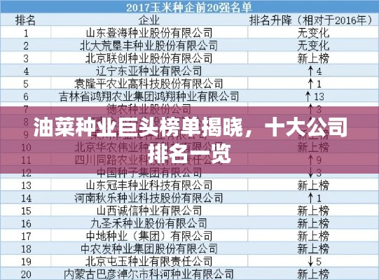 油菜种业巨头榜单揭晓，十大公司排名一览