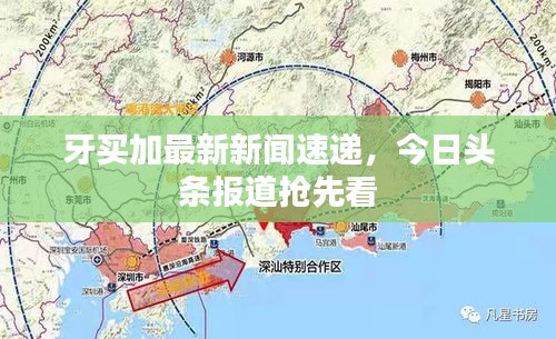 牙买加最新新闻速递，今日头条报道抢先看
