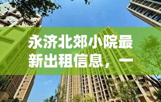 永济北郊小院最新出租信息，一览最新消息，吸引你的目光