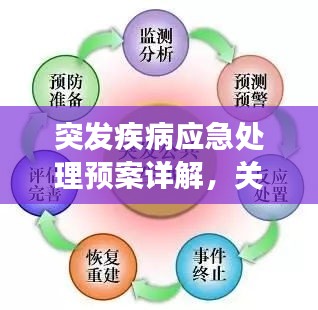 突发疾病应急处理预案详解，关键时刻保障健康的关键措施