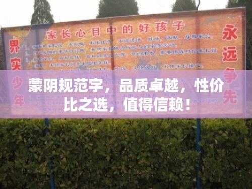 蒙阴规范字，品质卓越，性价比之选，值得信赖！