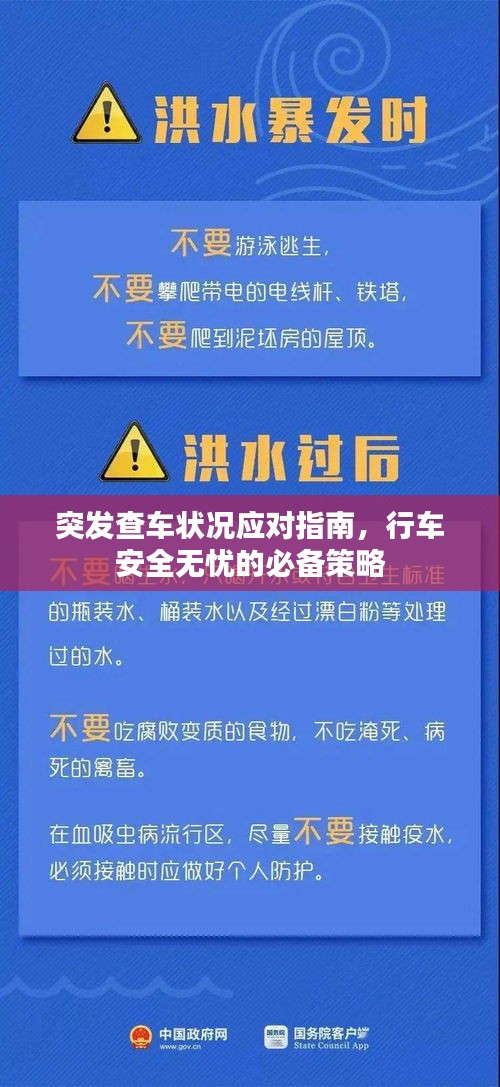 突发查车状况应对指南，行车安全无忧的必备策略