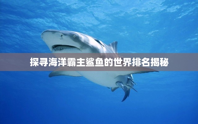 探寻海洋霸主鲨鱼的世界排名揭秘