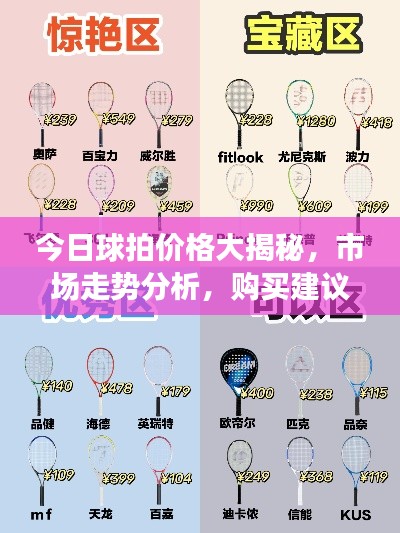 今日球拍价格大揭秘，市场走势分析，购买建议全攻略