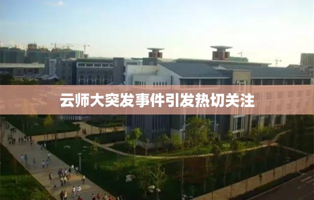 云师大突发事件引发热切关注