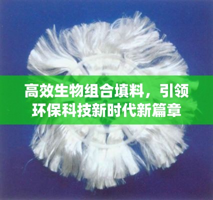 高效生物组合填料，引领环保科技新时代新篇章
