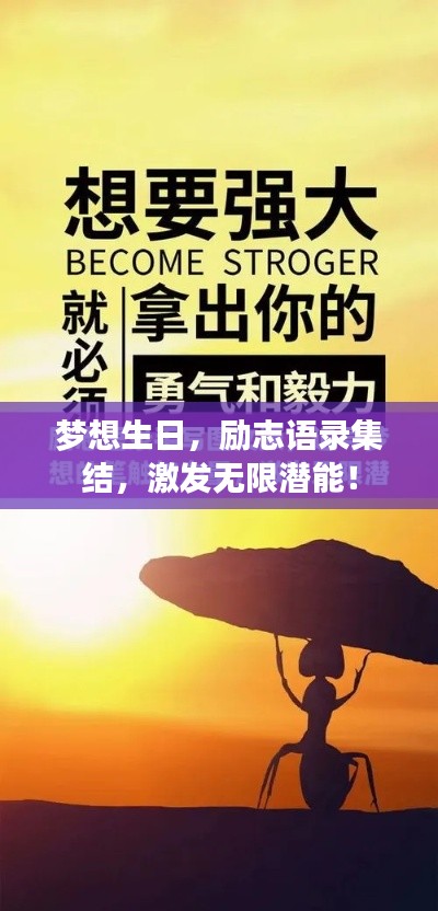 梦想生日，励志语录集结，激发无限潜能！