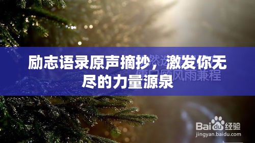 励志语录原声摘抄，激发你无尽的力量源泉