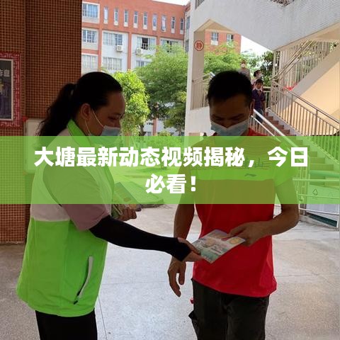 大塘最新动态视频揭秘，今日必看！