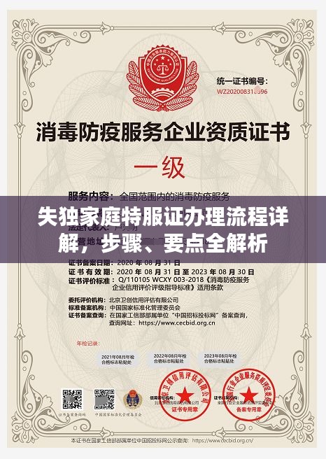 失独家庭特服证办理流程详解，步骤、要点全解析