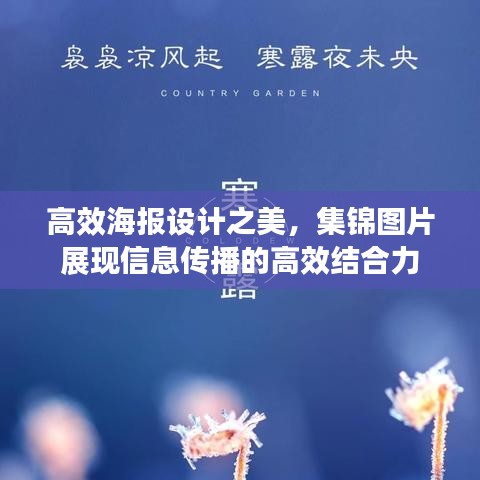 高效海报设计之美，集锦图片展现信息传播的高效结合力