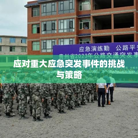 应对重大应急突发事件的挑战与策略