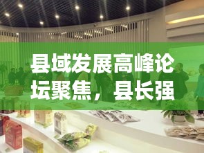 县域发展高峰论坛聚焦，县长强调责任落实，共筑美好未来新篇章