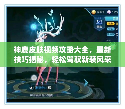 神鹿皮肤视频攻略大全，最新技巧揭秘，轻松驾驭新装风采！