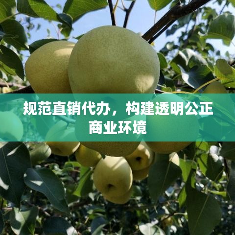 规范直销代办，构建透明公正商业环境