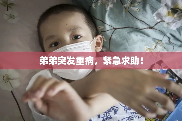 弟弟突发重病，紧急求助！