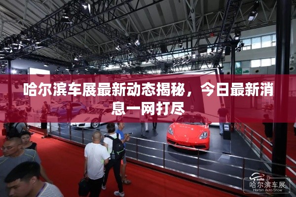 哈尔滨车展最新动态揭秘，今日最新消息一网打尽