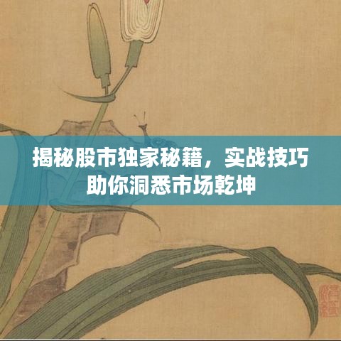 揭秘股市独家秘籍，实战技巧助你洞悉市场乾坤