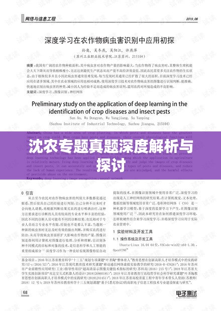 沈农专题真题深度解析与探讨