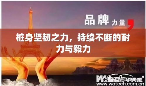 熊经鸟申