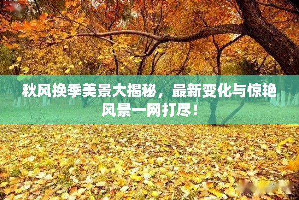 贵阴贱璧