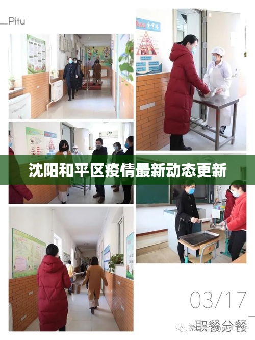沈阳和平区疫情最新动态更新