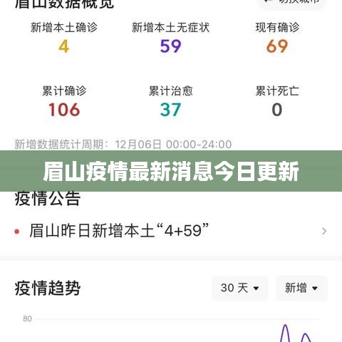 2025年6月4日 第3页