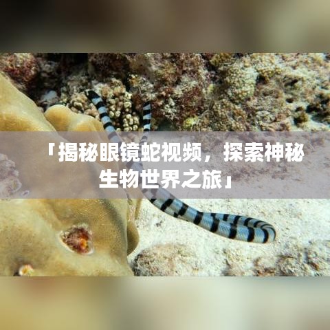母以子贵