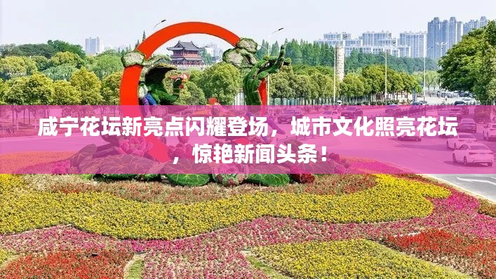2025年6月5日 第4页