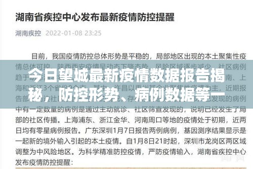 反正还淳