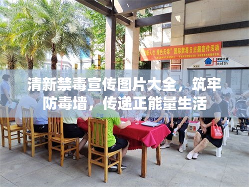 清新禁毒宣传图片大全，筑牢防毒墙，传递正能量生活