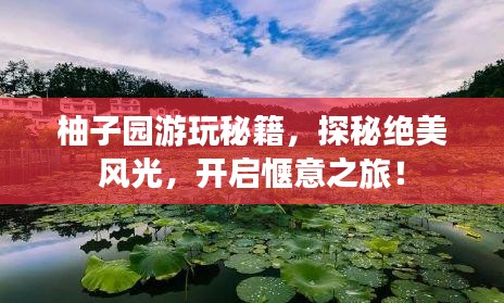 沉灶产蛙