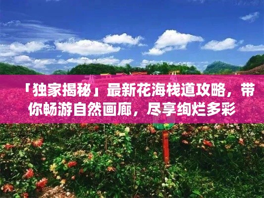 七上八下