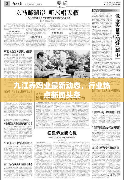 2025年6月11日 第4页