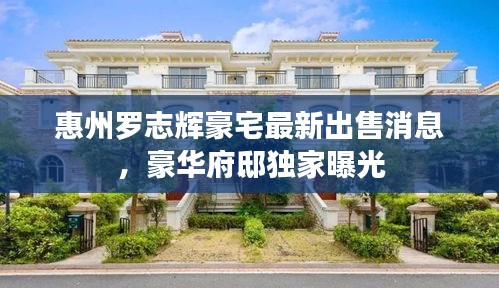 十年磨剑