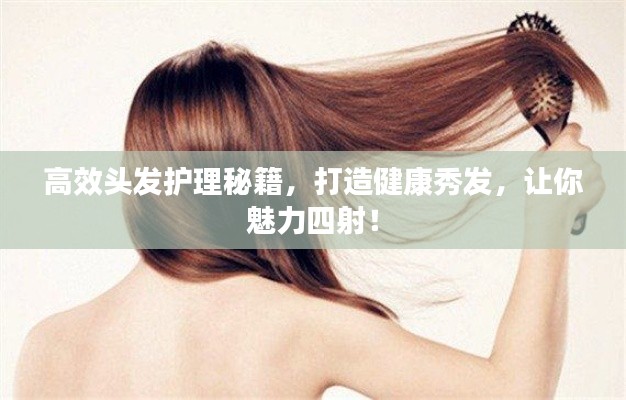 澹泊明志，宁静致远