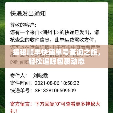 聚精会神