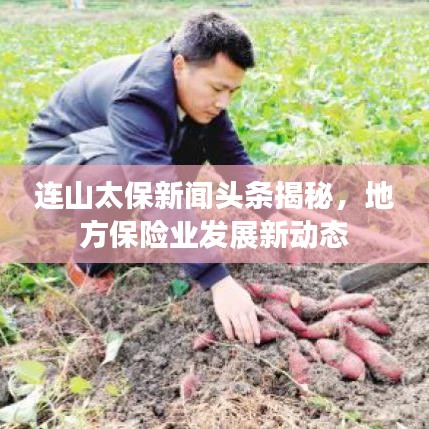 连山太保新闻头条揭秘，地方保险业发展新动态