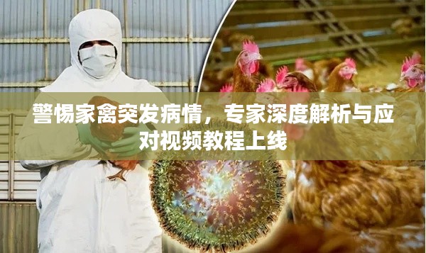 集思广益