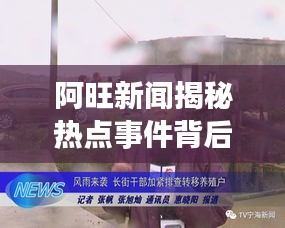 明夷于飞