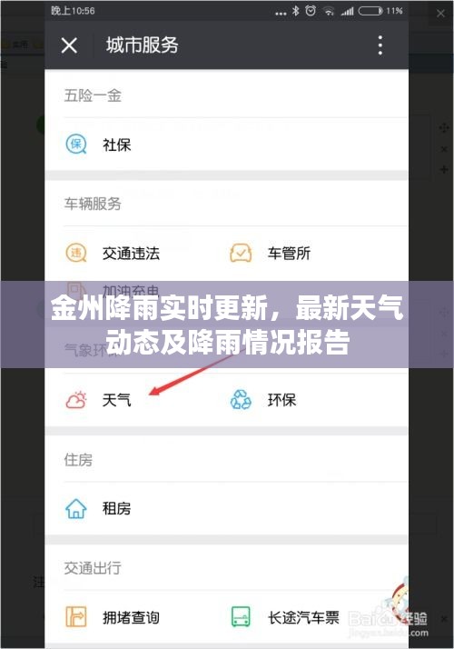 飞红滴翠