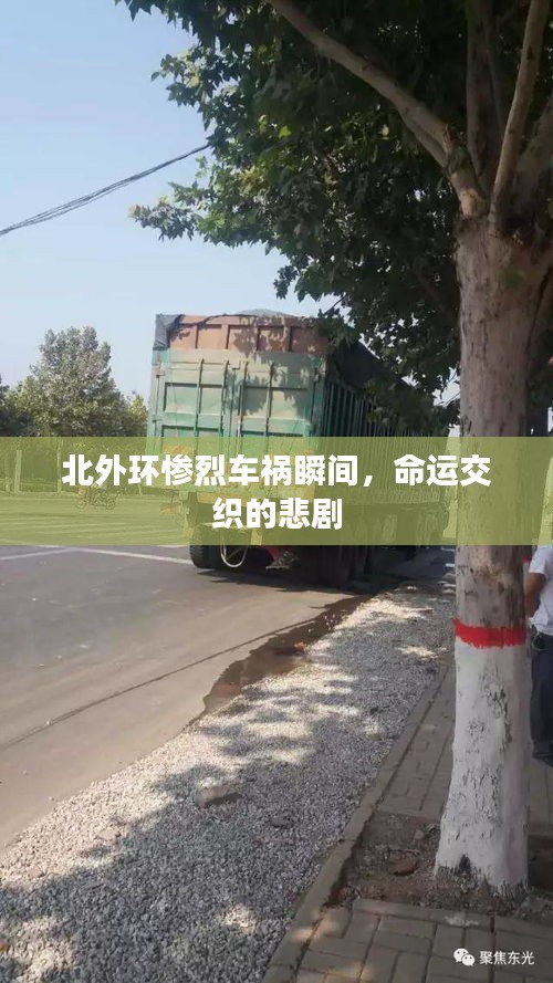 半新不旧
