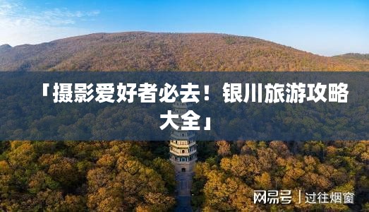 一本正经